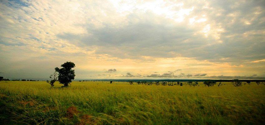 Những điểm du lịch hấp dẫn ở Uganda