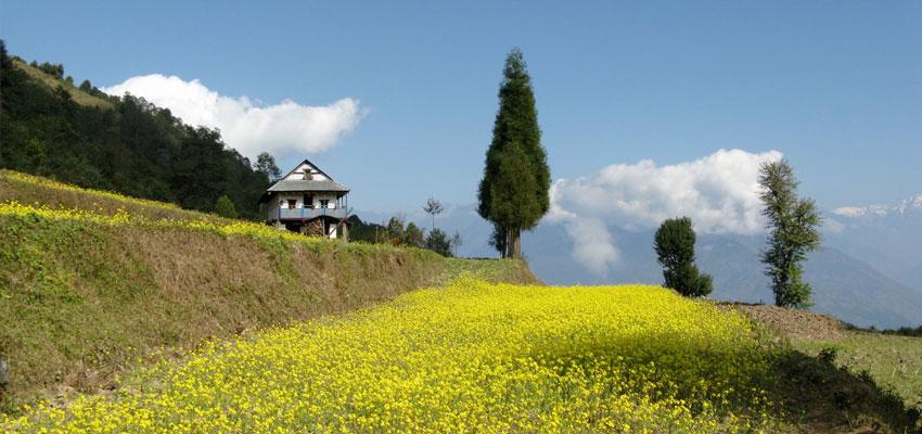 Vé máy bay đi Nepal