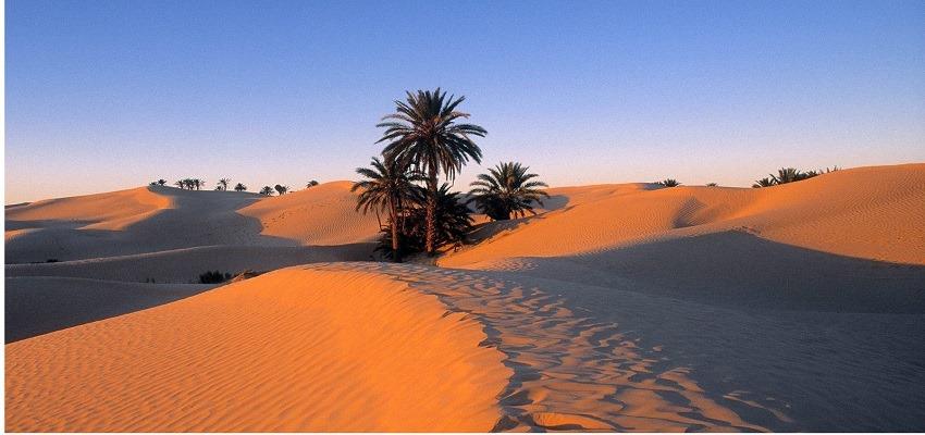 Vé máy bay đi Tunisia