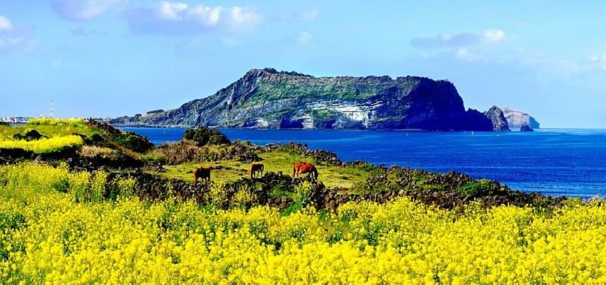du lich dao jeju
