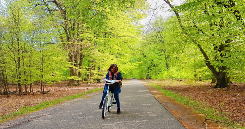 ve-di-ha-lan-bao-nhieu