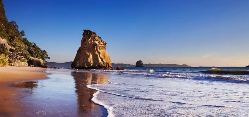 ve may bay den auckland