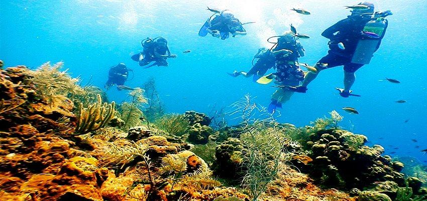 ve may bay den dao cayman