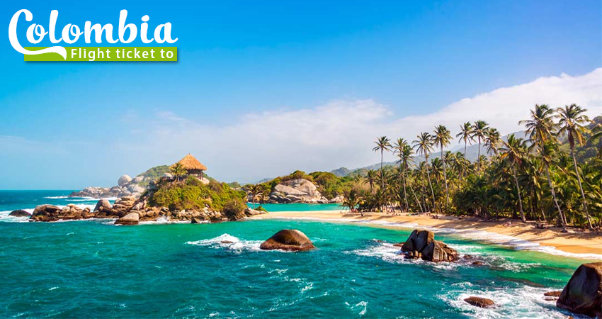 ve may bay di colombia